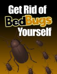 get rid of bed bugs yourself